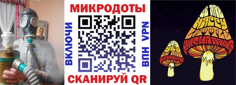 Псилоцибиновые грибы Cubensis  Анжеро-Судженск 